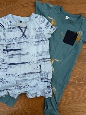 Tea Collection Baby Romper Bundle